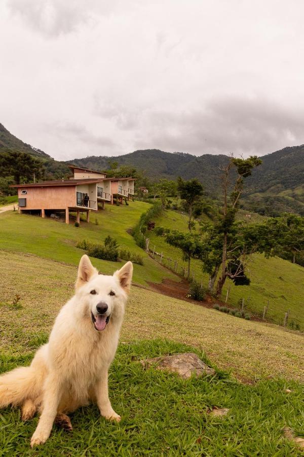 Pousada Terra Dos Passaros São Bento do Sapucaí Exteriér fotografie