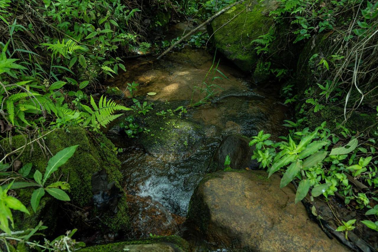 Pousada Terra Dos Passaros São Bento do Sapucaí Exteriér fotografie
