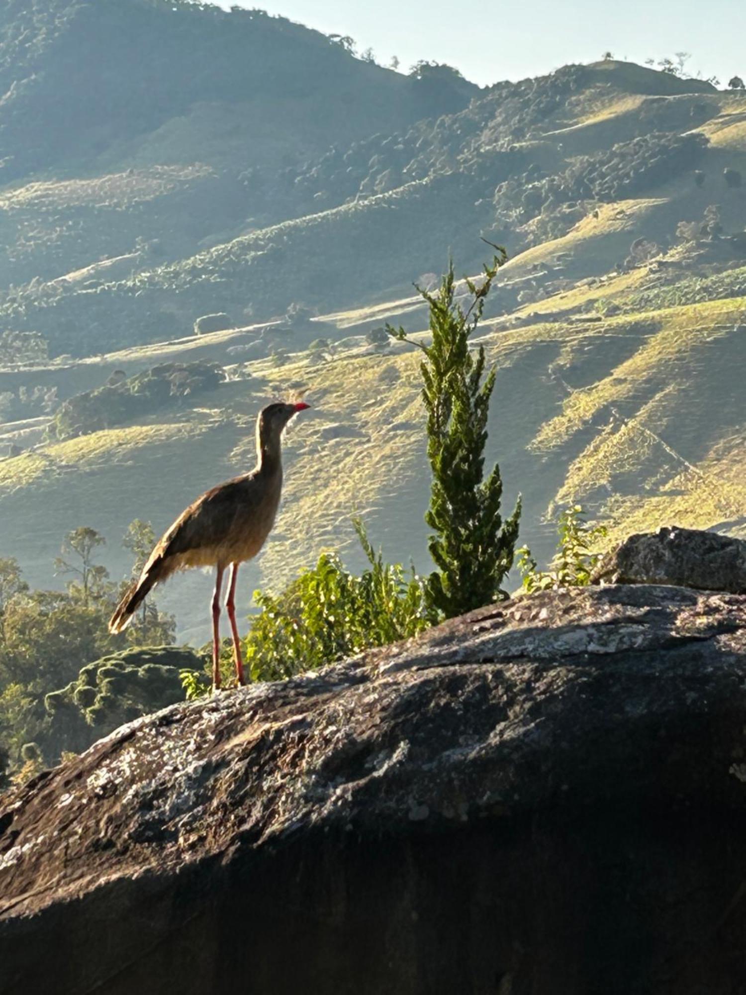 Pousada Terra Dos Passaros São Bento do Sapucaí Exteriér fotografie