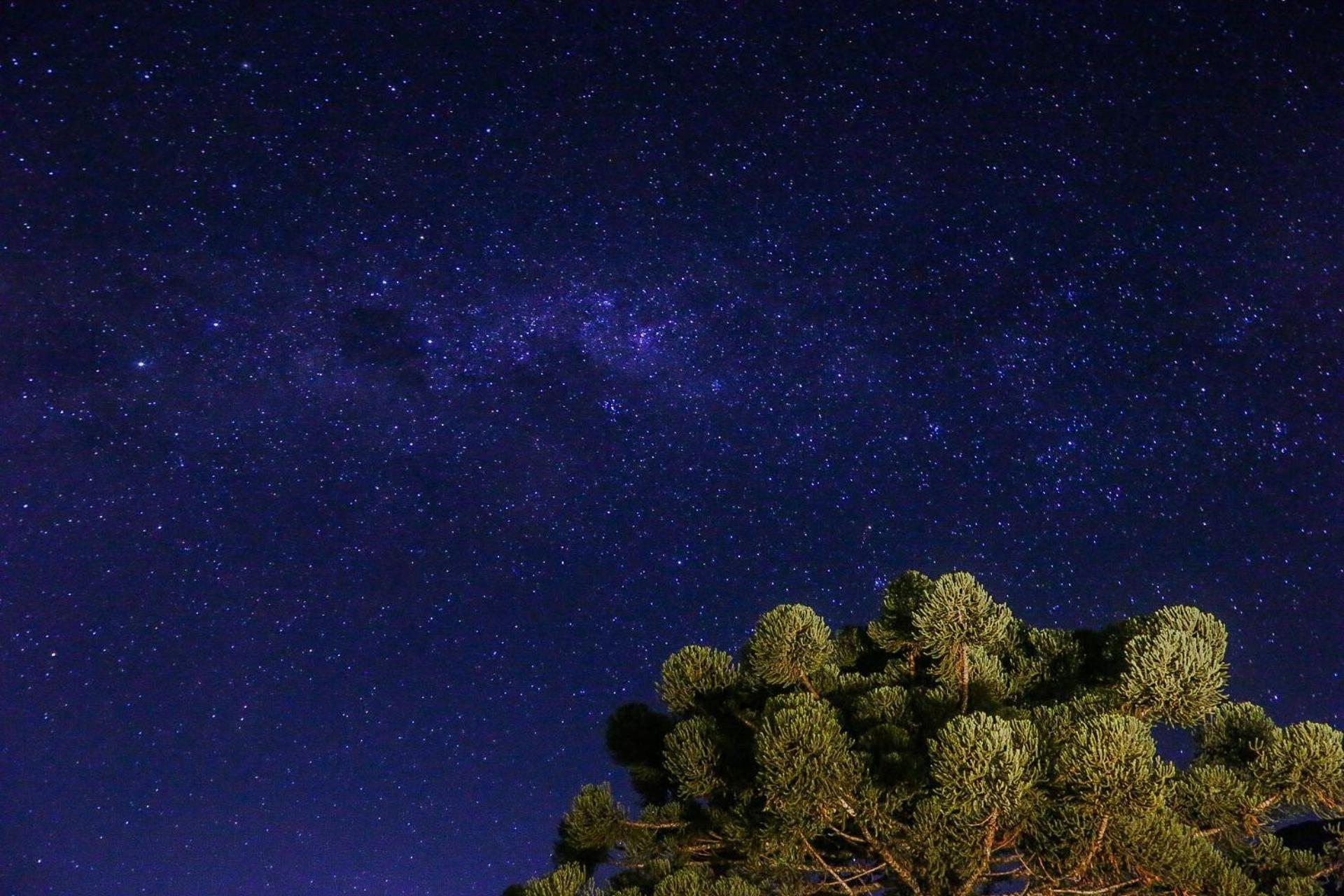 Pousada Terra Dos Passaros São Bento do Sapucaí Exteriér fotografie